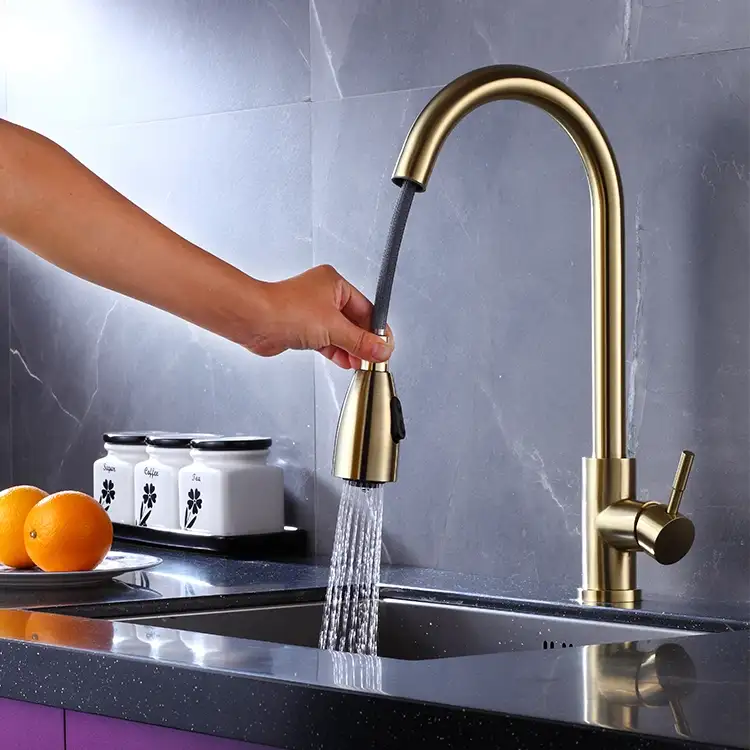 Stainless Steel Pull Down Kitchen Faucet With Sprayer