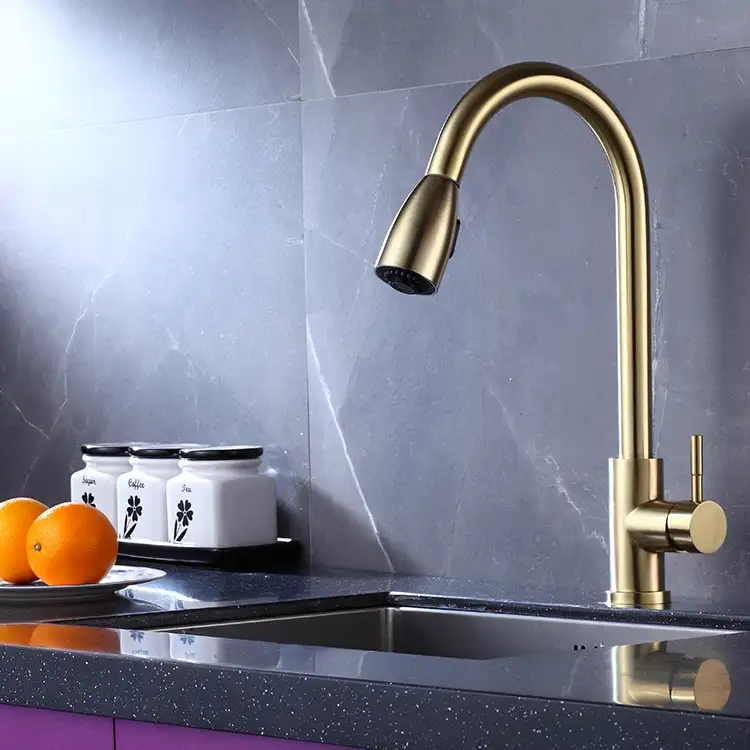 Stainless Steel Pull Down Kitchen Faucet With Sprayer
